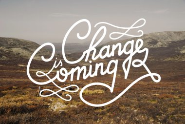 insanlar binicilik horses