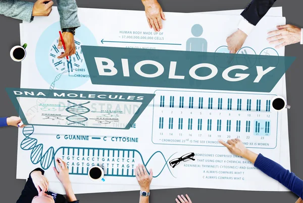 Business-Team und Biologie-Konzept — Stockfoto