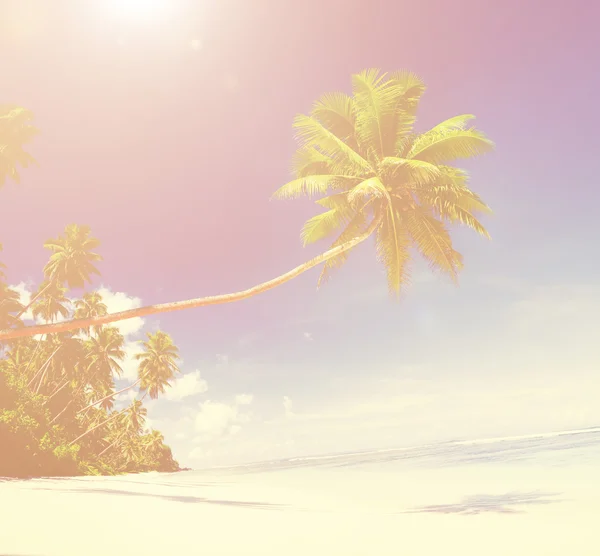 Hermosa vista del océano y la playa — Foto de Stock