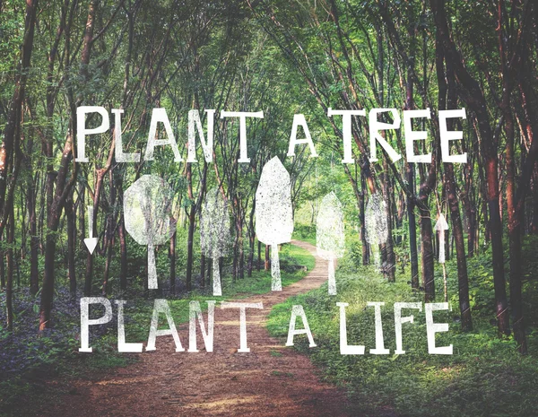 Plant een boom-installatie een leven-tekst — Stockfoto