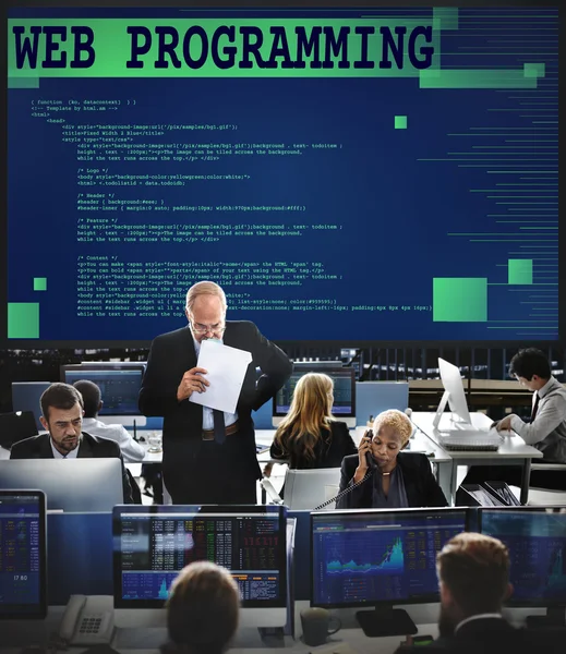 Business workers and web programming — Stock Photo, Image