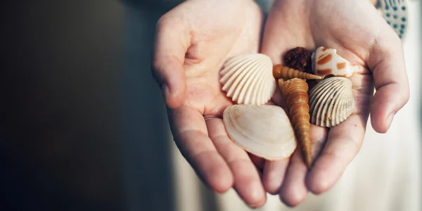 Vrouw bedrijf schelpen — Stockfoto