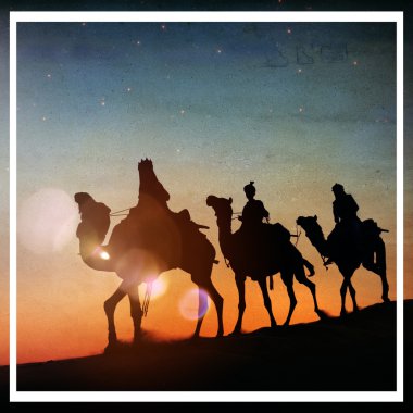 erkek Develer çöl yoluyla sürme  