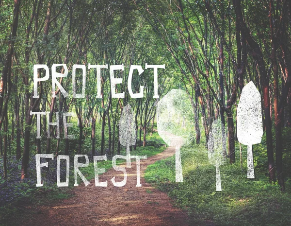 Proteger el texto del bosque —  Fotos de Stock