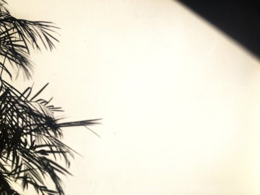 Gökyüzü sakin kızdırma 