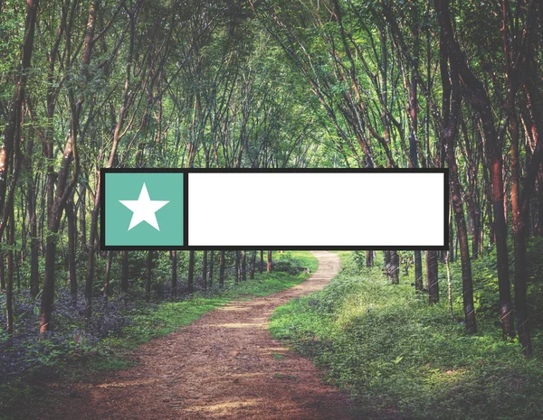 Banner com floresta no fundo — Fotografia de Stock