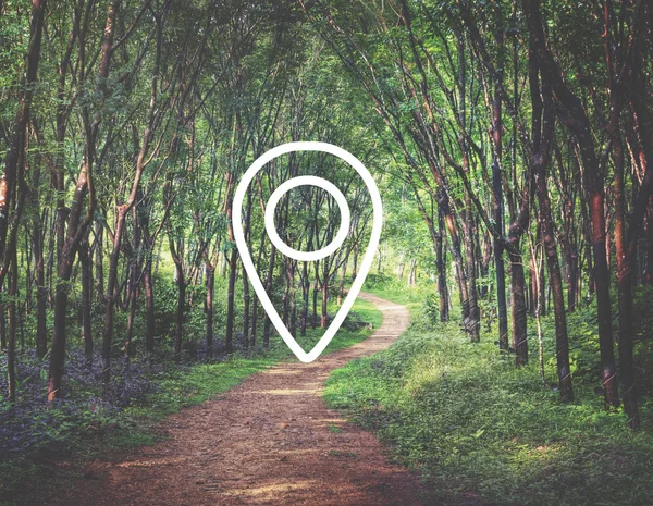Icône de navigation avec forêt en arrière-plan — Photo