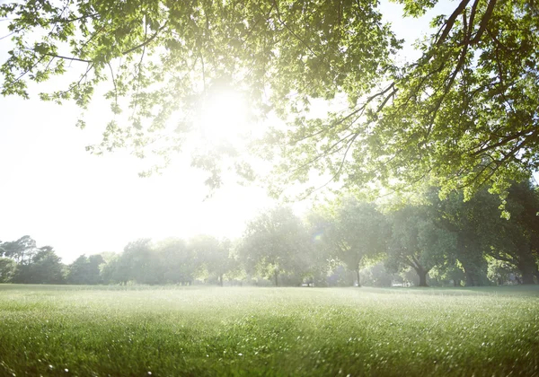 Spokojny Park lato naturalny — Zdjęcie stockowe