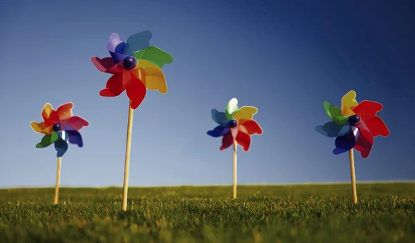 Pinwheel colorido na grama — Fotografia de Stock