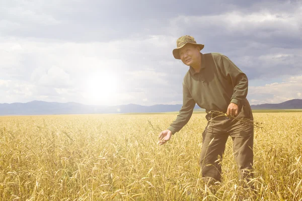 Man aan het werk in de weide — Stockfoto