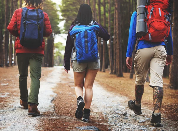 Pessoas Caminhadas na natureza — Fotografia de Stock