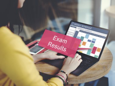 bilgisayar ile çalışan kadın