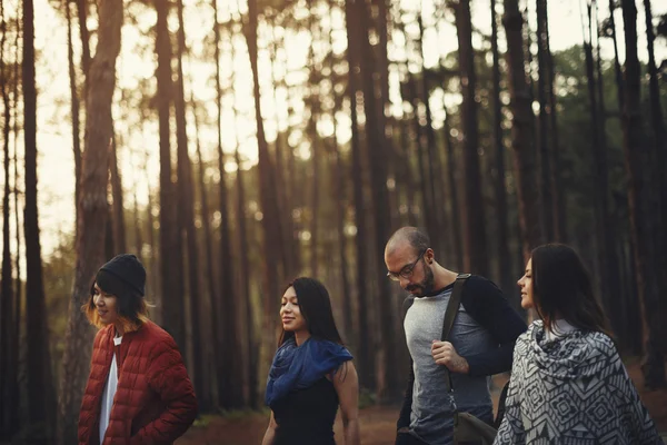 Amici che viaggiano insieme — Foto Stock