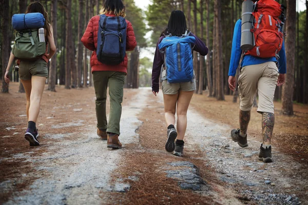 Doğada Hiking insanlar — Stok fotoğraf