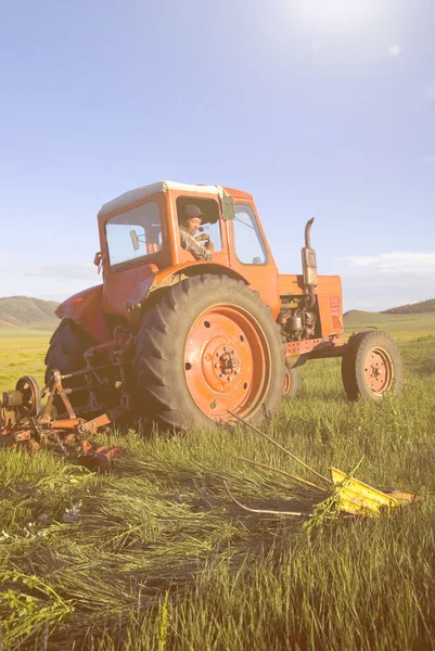 Trekker oogsten veld — Stockfoto