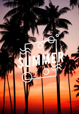 Yaz sezonu ve palmiye ağaçları 