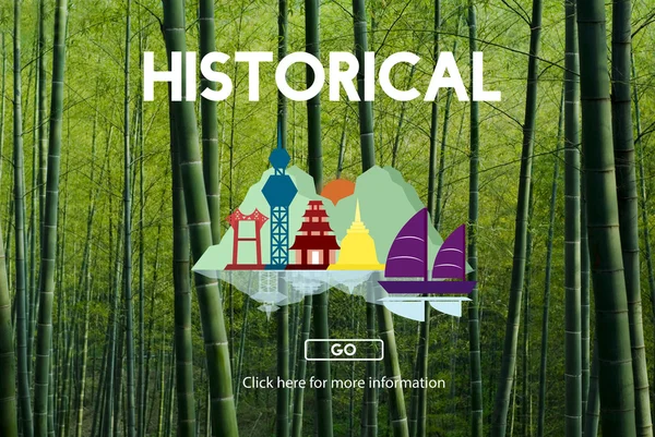 Bosque de bambú en China —  Fotos de Stock