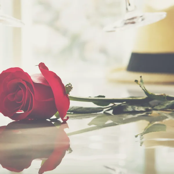 Rosa para Aniversário em Conceito de Flor — Fotografia de Stock