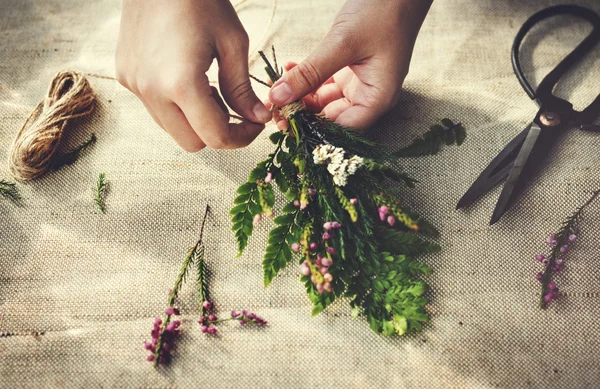 Conceito de Florsit Hobby — Fotografia de Stock