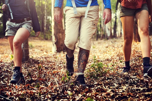 Grupo de excursionistas Caminando en el bosque —  Fotos de Stock