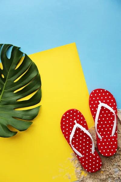 Chanclas y hojas de palma — Foto de Stock