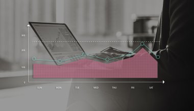 Kadın ile laptop Tur