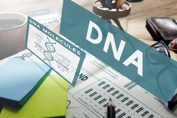 DNS-molekulák és az öntapadó jegyzetek — Stock Fotó