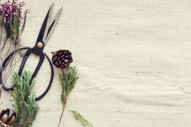 Florsit hobi eğlence kavramı