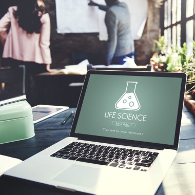 bilgisayar Office çalışma yeri