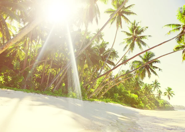 Vista tropicale sulla spiaggia — Foto Stock