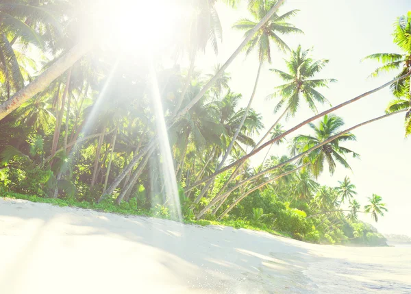 Vistas tropicales a la playa — Foto de Stock