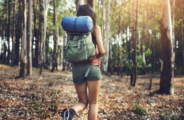 Nő túrázás az erdőben — Stock Fotó
