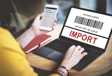 Bilgisayarla çalışan iş kadını