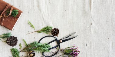 Florsit hobi eğlence kavramı