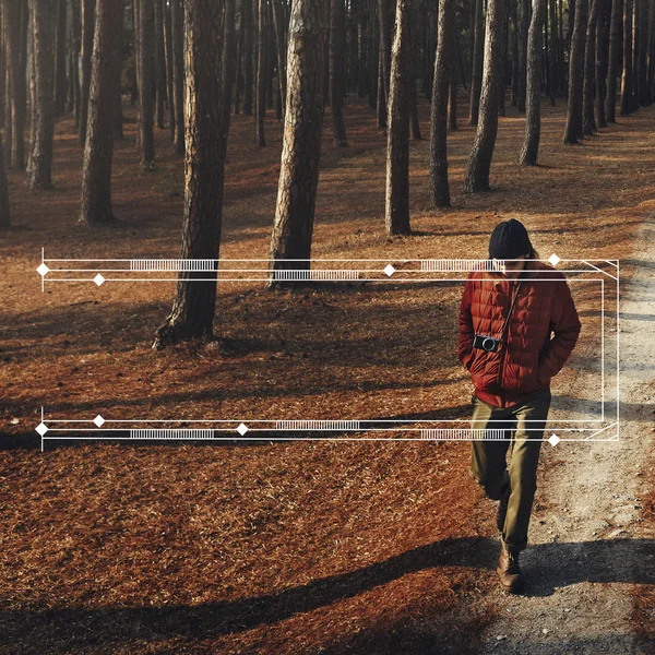 Homem andando sozinho na floresta — Fotografia de Stock