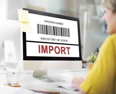 Bilgisayarda çalışan iş kadını