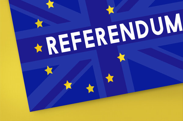 Концепция референдума в Великобритании
