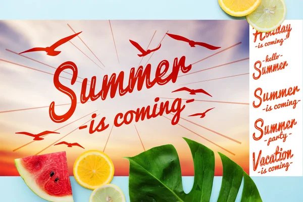 Banner de verão com frutas — Fotografia de Stock