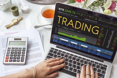 Dizüstü bilgisayar kullanan kadın