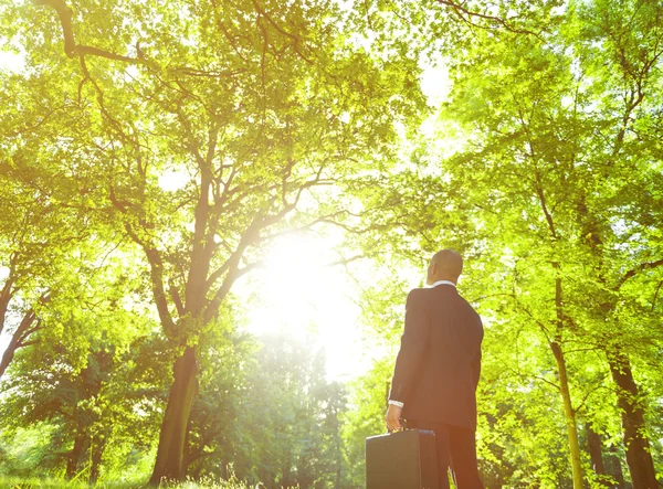 Businessman standing in green forest — Stock Photo, Image