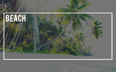 adada yeşil avuç içi