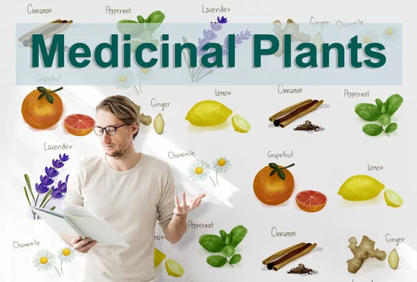 Businessman working with Medicinal Plants — Stock Photo, Image