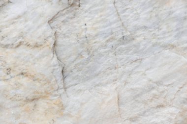 Beyaz deniz kaya dokusu arka planı