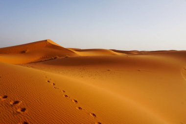 Erg Chebbi 'nin kum tepeleri, Fas