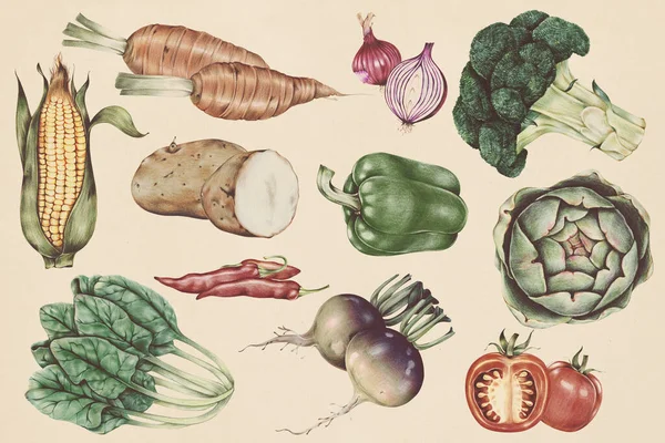 Hand drawn vegetable pattern illustration