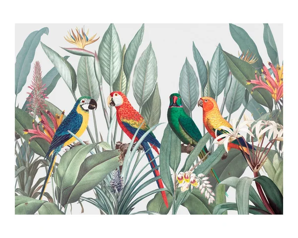 Guacamayos Coloridos Sobre Fondo Tropical Ilustración Vintage — Foto de Stock