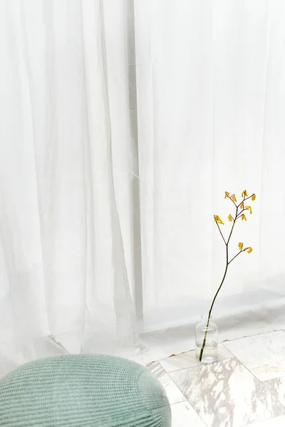 Forsythia Amarelo Vaso Compensado Assoalho Mármore Branco Por Uma Cortina — Fotografia de Stock