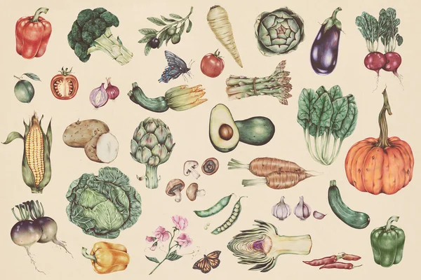 Illustration Modèle Légumes Dessinée Main — Photo