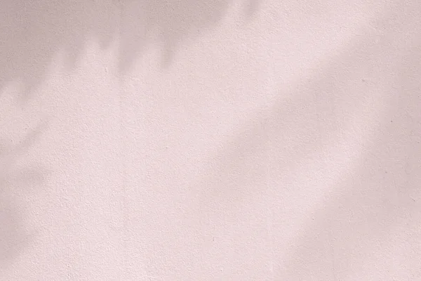 Тінь Листя Рожевій Стіні — стокове фото