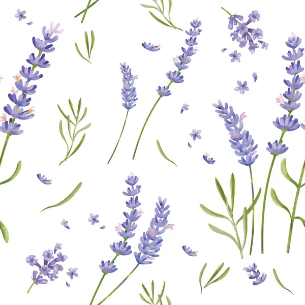 Handgetekend Lavendelbloemenpatroon — Stockfoto